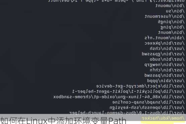 Linux系统中怎么修改环境变量PATH路径  第1张