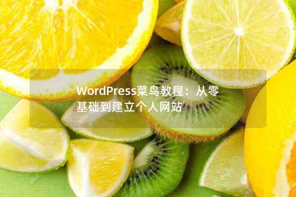 个人建什么样的网站_基于WordPress搭建个人网站（Linux）  第1张