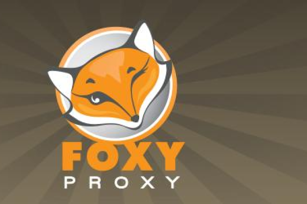 FoxyProxy火狐代理插件与BurpSuite代理链配置，如何优化网络安全实践？