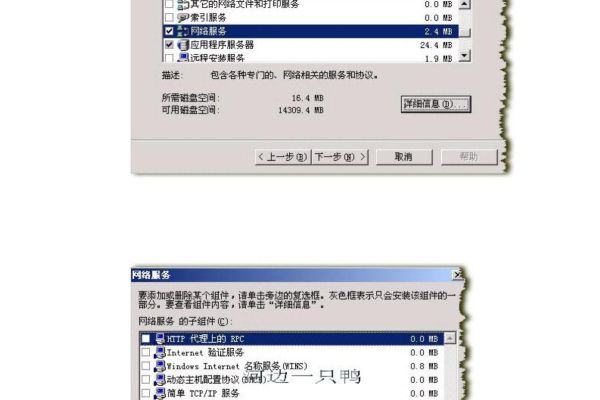 如何在Windows 2003服务器上搭建网站？