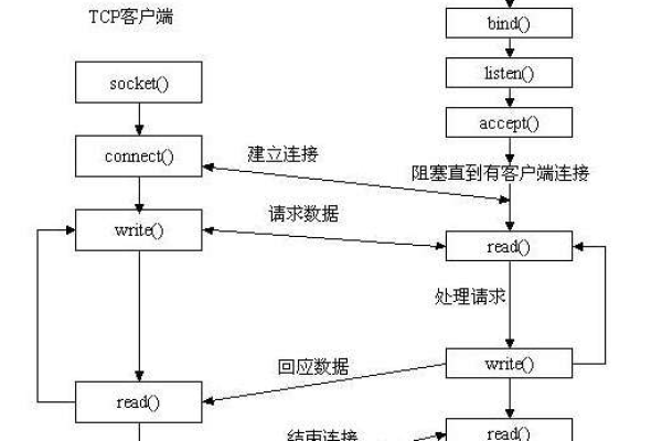 如何用Java构建一个Socket服务器？  第1张