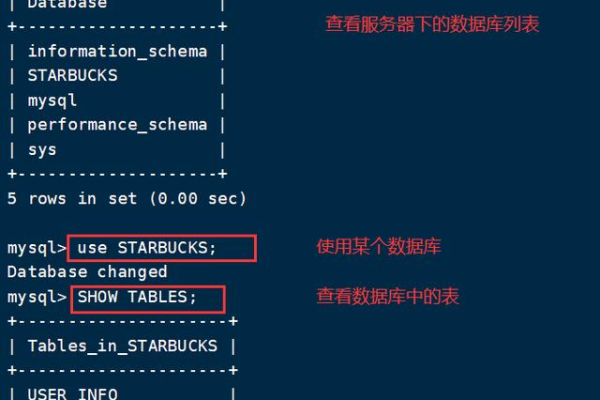 如何在RDS for MySQL数据库中执行查询后进行修改操作？