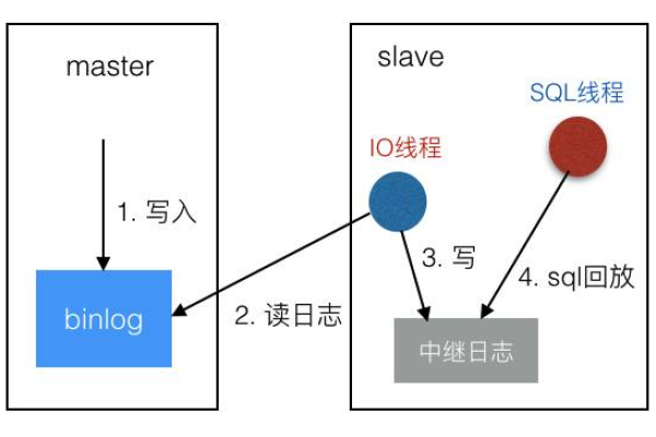 MySQL 权限刷新机制，它是如何自动执行的？