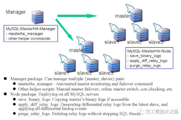 如何正确选择并操作MySQL数据库中的特定数据库？