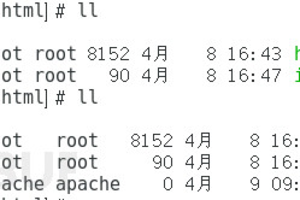 如何在PHP中执行Windows命令？  第1张