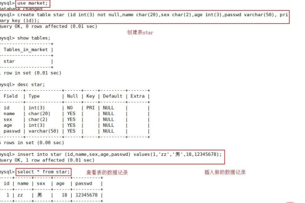 如何利用dns_Doris MySQL命令实现数据库登录？