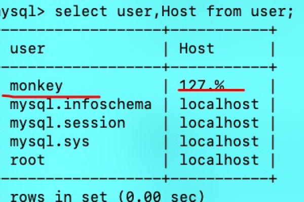 MySQL数据库中的user表具体承担哪些作用和功能？