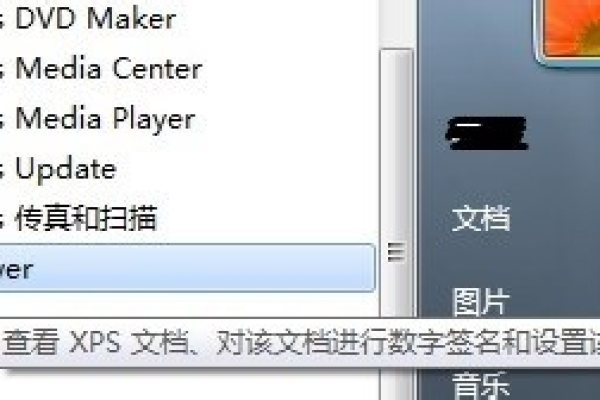 如何在Windows 10系统中打开XPS文件？