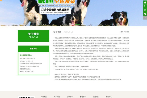 php宠物用品公司网站源码_PHP