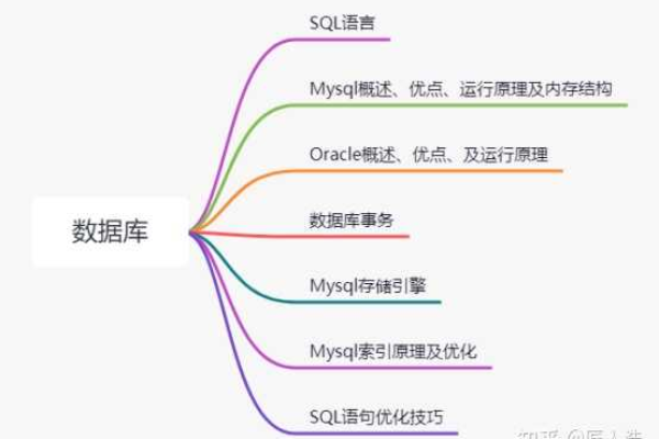 如何高效进行MySQL数据库的期末复习？