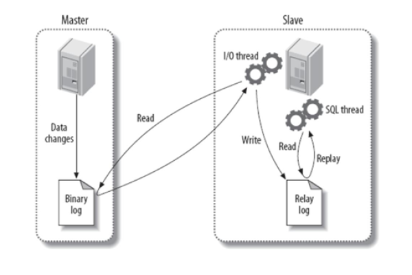 如何正确配置MySQL从服务器以确保数据同步和高可用性？  第1张