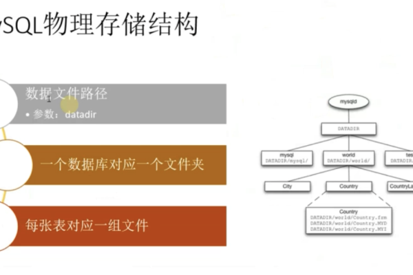 如何深入理解MySQL数据库的结构体说明？  第1张