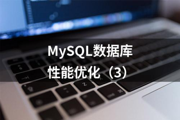 在MySQL数据库中如何处理int数据类型的性能优化问题？