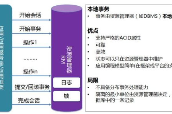 MySQL数据库中的Identity特性如何发挥作用，以及CSG文件共享机制的重要性是什么？