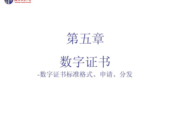 个人数字证书有何作用_主流数字证书有哪些格式？  第1张