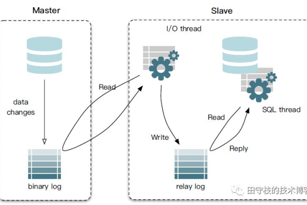 在MySQL数据库管理中，哪些经典场景是开发者必须掌握的？