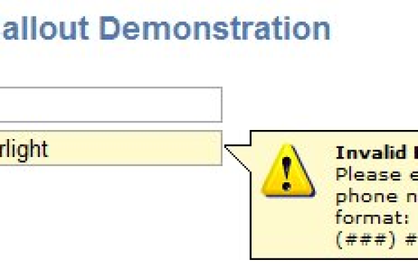 Validation.js: 如何确保你的数据输入既安全又准确？