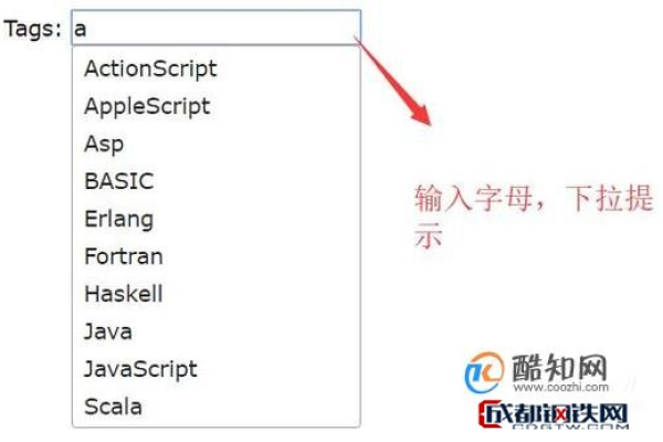 如何使用autocomplete.js提升网站的搜索体验？