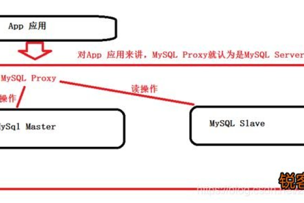 如何使用MySQL函数确定数据库对象的公共位置？