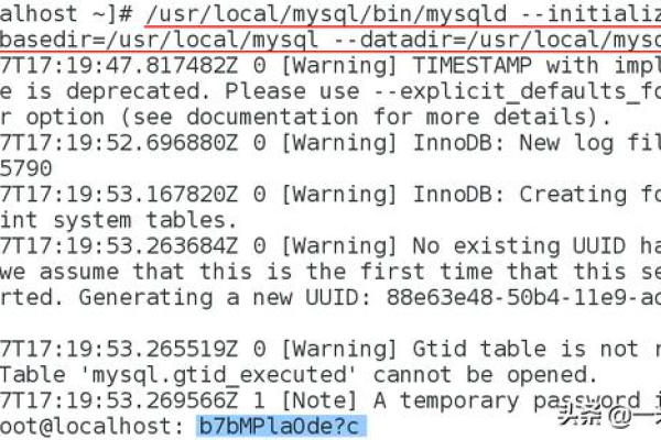 如何通过实验报告掌握MySQL数据库的基本操作？