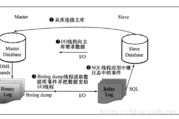 如何正确配置MySQL从服务器？