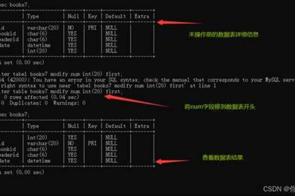 MySQL数据库命令大全，如何掌握所有关键命令？