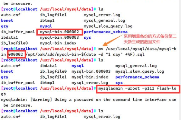 如何在MySQL中创建新数据库并设置排序规则？