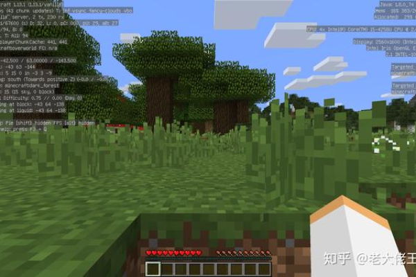 Minecraft的第一个官方服务器被命名为哪一个？  第1张