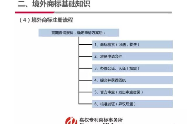 海外域名注册购买时，有哪些注意事项和潜在风险需要我们警惕？