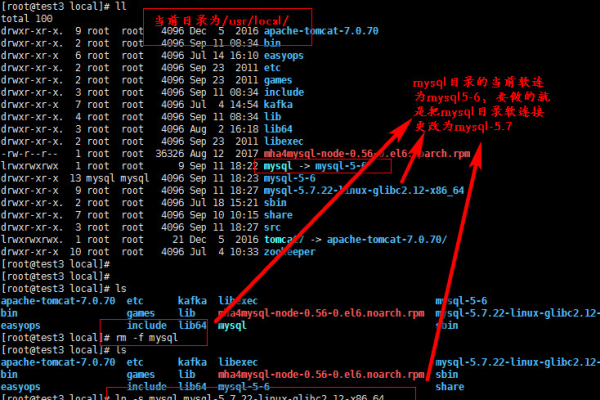 为何MySQL数据库程序的启动项设置对于快速启动项目至关重要？