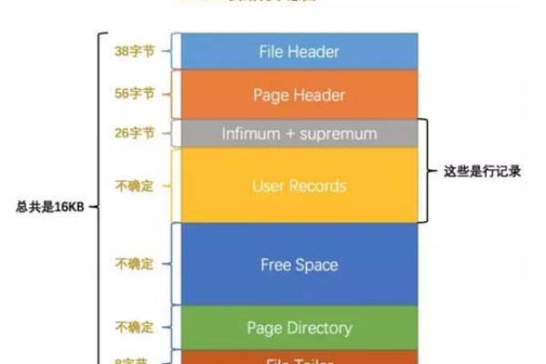 MySQL面试准备，如何从基础到进阶掌握MySQL？