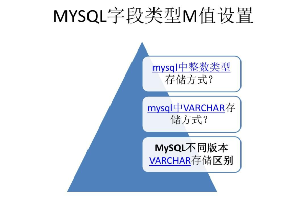 MySQL字段类型有哪些，它们分别适用于哪些场景？