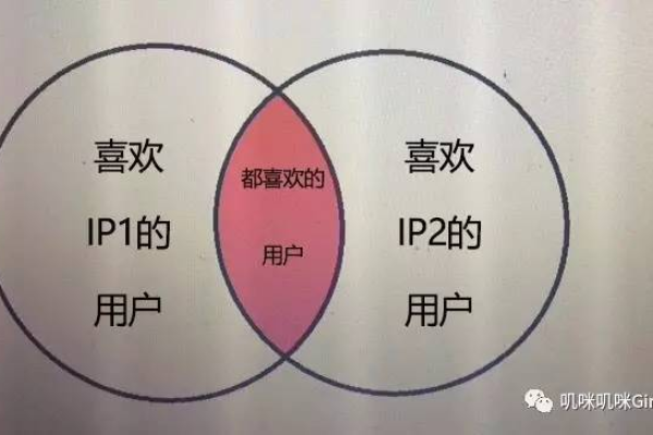 双线单IP和双IP有差异吗？体现在哪里？