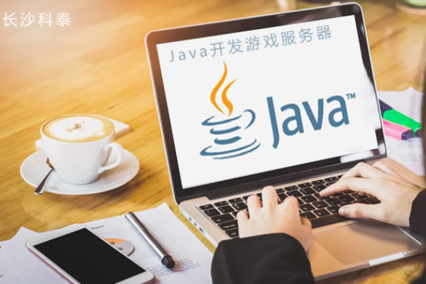 使用Java开发游戏服务器的可行性与优势是什么？  第1张