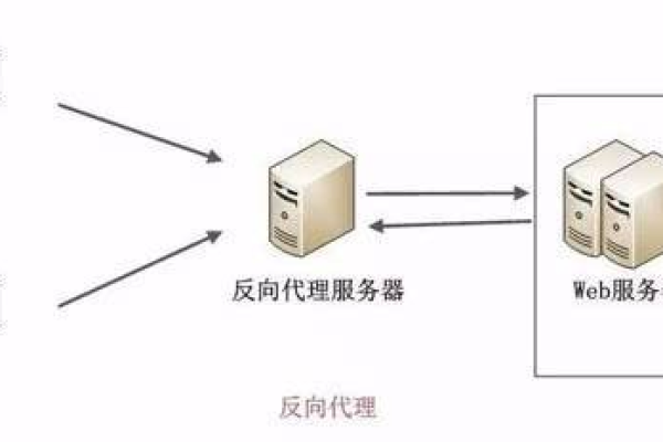 在安卓设备上，我该如何选择合适的代理服务器应用？