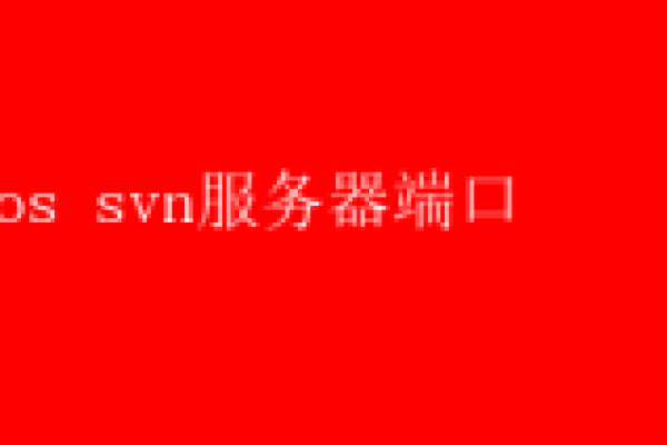 如何确定SVN服务器的端口号及其含义？