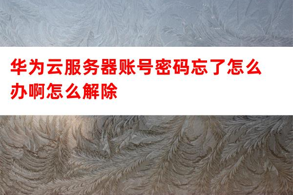 云服务器的登录密码忘了如何解决