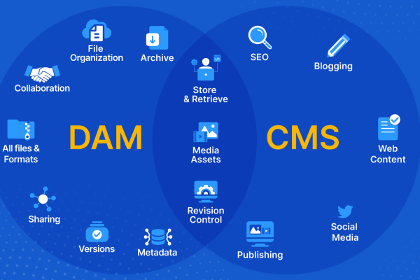 什么是大通cms,大通cms的特点与优势  第1张