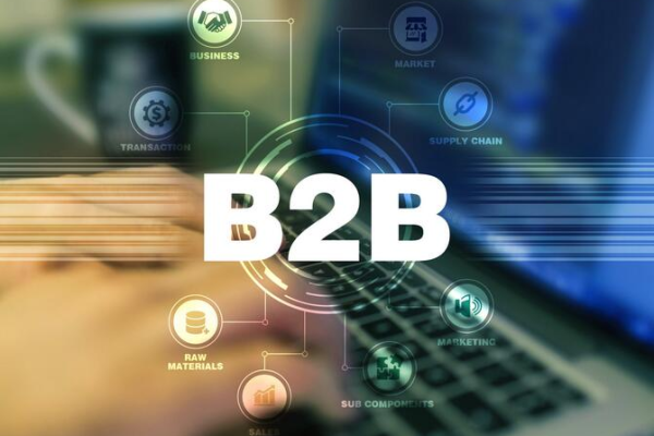 什么是b2b网站建设,b2b网站建设的重要性  第1张