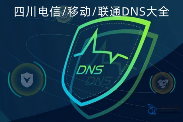 为什么四川电信的DNS无法访问,四川电信DNS优化方法