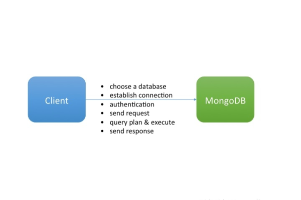 在mongodb里面怎么复制粘贴