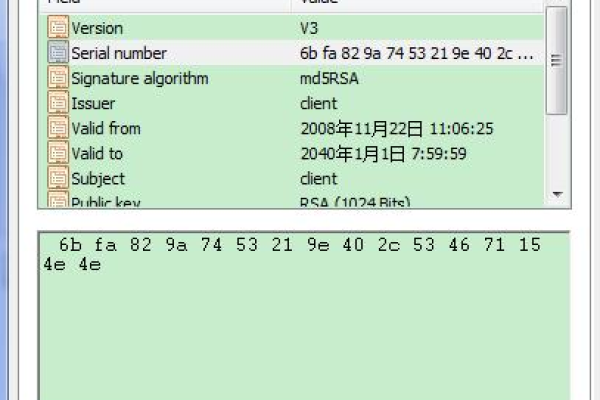 客户端查看时间服务器是否生效_如何查看域名验证是否生效？