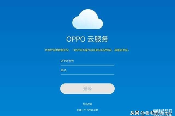 如何在Oppo手机上设置接入点并填写正确的服务器信息？  第1张