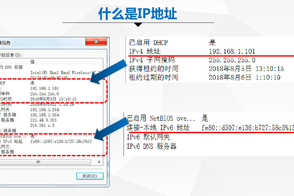 什么叫ip地址,ip地址的定义与作用