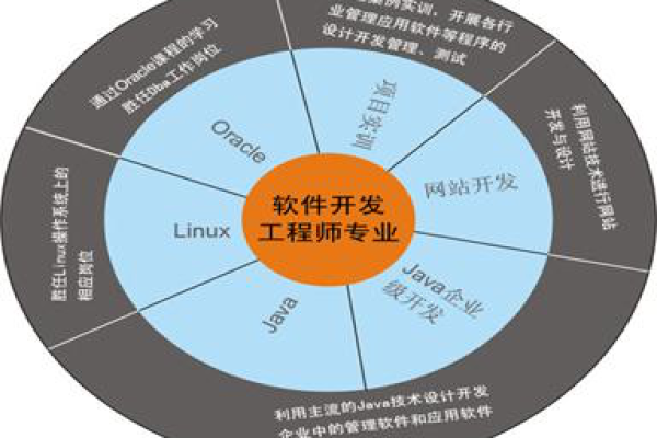 开发网站去哪里学_开发学件