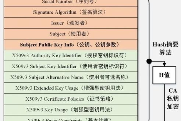 数字证书类型是怎样的？  第1张