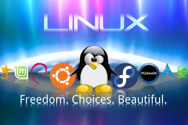 国内linux主机,附详细介绍