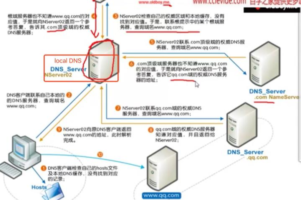 如何查看dns？