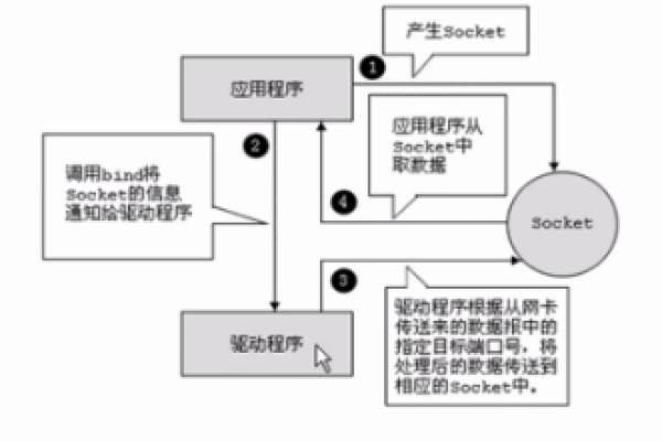 客户端和服务器怎么理解_怎么理解SparkRTC的角色Role？