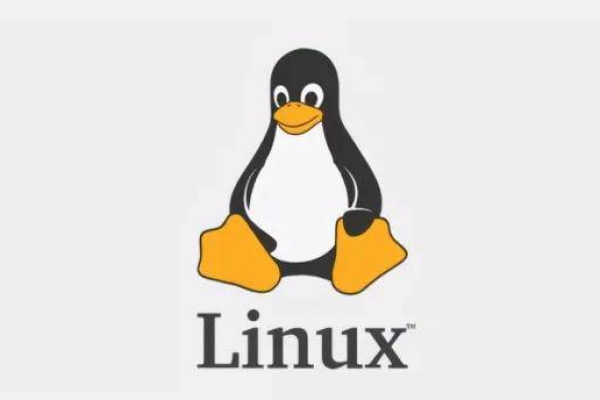 当前服务器领域普遍采用的Linux系统有哪些？